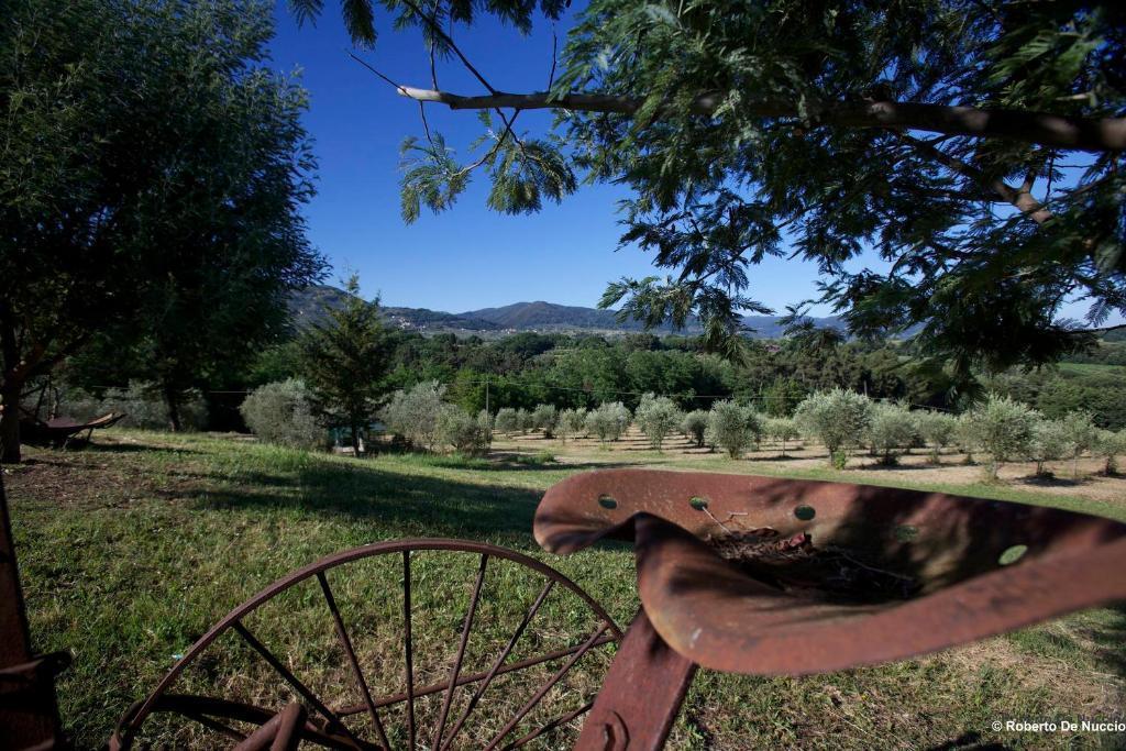 Tenuta Gaetano Spadaro Capannori Extérieur photo