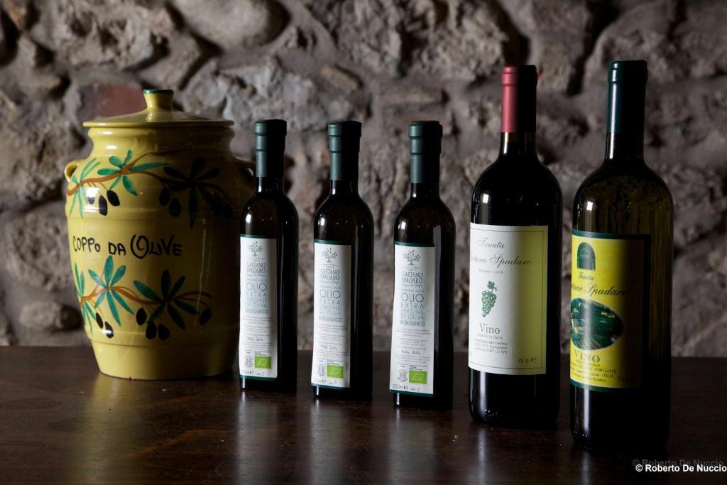 Tenuta Gaetano Spadaro Capannori Extérieur photo