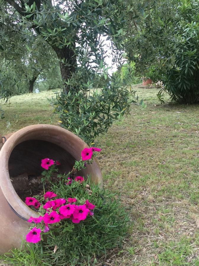 Tenuta Gaetano Spadaro Capannori Extérieur photo